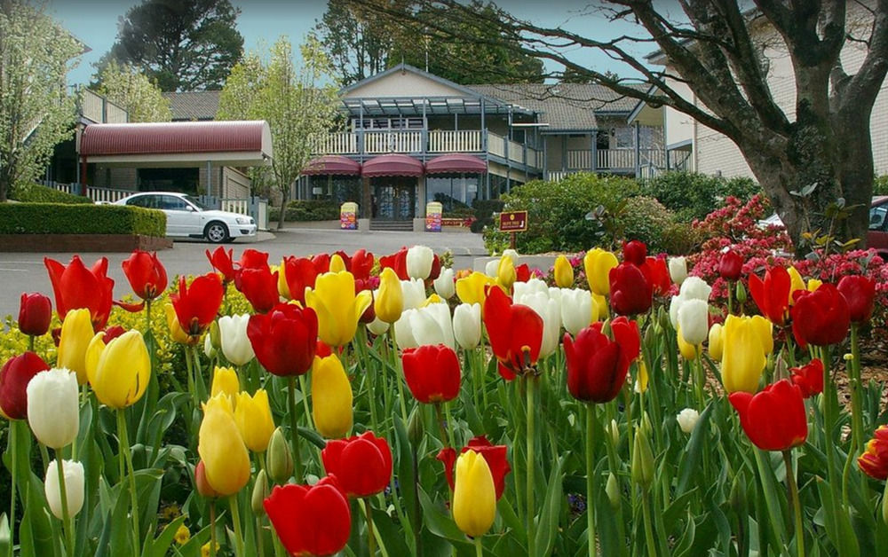 Nesuto Leura Gardens Hotel Exterior photo