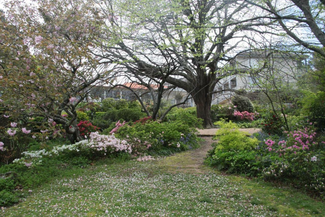Nesuto Leura Gardens Hotel Exterior photo